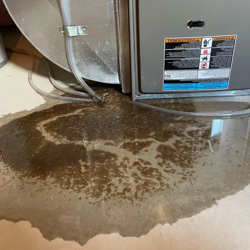Pipe Burst and Leak Restoration in Copley, OH