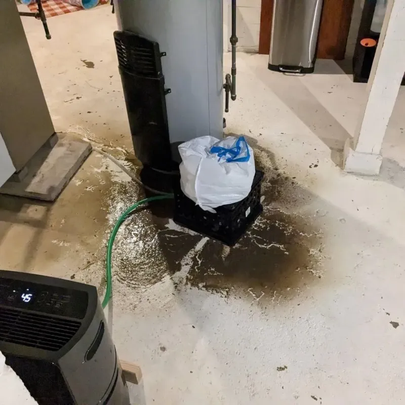 Sewage Backup Cleanup Service in Copley, OH